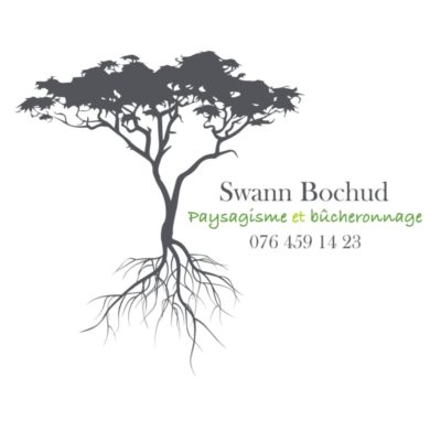 Swann Bochud